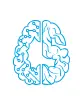 CyberSapiens United LLP logo